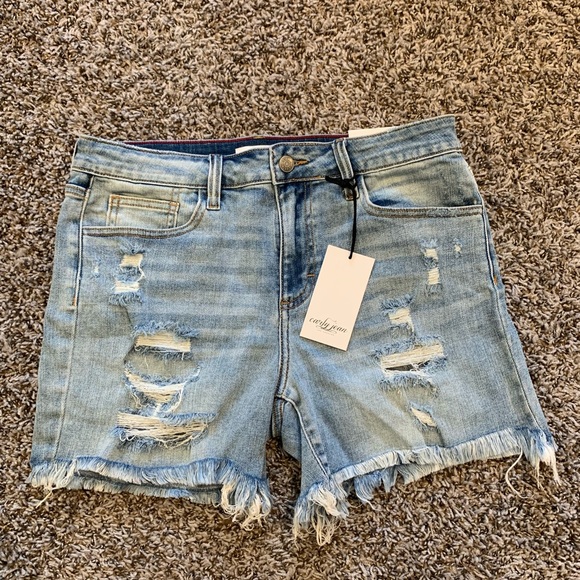 Carly Jean Los Angeles Pants - Larsen denim shorts